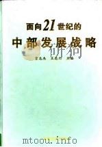 面向二十一世纪的中部发展战略（1998 PDF版）