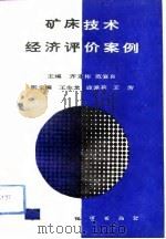 矿床技术经济评价案例（1992 PDF版）
