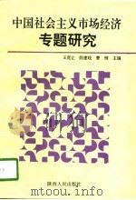 中国社会主义市场经济专题研究（1995 PDF版）