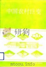 中国农村巨变（1992 PDF版）