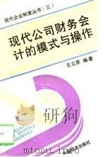 现代公司财务会计的模式与操作 1994 PDF电子版封面 750173027X 王立彦编著