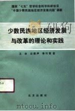 少数民族地区经济发展与改革的理论和实践（1990 PDF版）