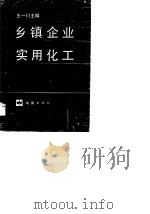 乡镇企业实用化工（1991 PDF版）