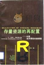 存量资源的再配置 中国经济面临的新课题 1992 PDF电子版封面 7222011005 宋宁著