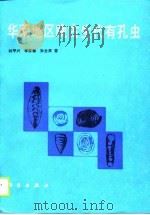 华南地区晚古生代有孔虫 1990 PDF电子版封面 7030016939 林甲兴等著