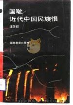 国耻:近代中国民族恨 1993 PDF电子版封面 7535109632 汪学毅著