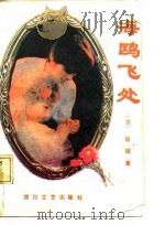海鸥飞处（1988 PDF版）