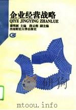 企业经营战略（1994 PDF版）