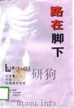 路在脚下  大变革时代中国人的境遇和选择（1998 PDF版）
