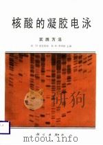 核酸的凝胶电泳  实践方法（1989 PDF版）