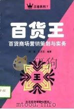 百货王  百货商场营销策划与实务（1996 PDF版）