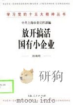 放开搞活国有小企业（1998 PDF版）