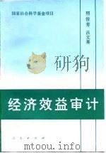 经济效益审计（1995 PDF版）