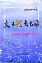 大开放大发展  中国沿海沿江沿边地区的崛起（1993 PDF版）