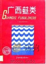广西（竹蜓）类（1989 PDF版）