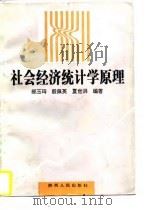 社会经济统计学原理（1996 PDF版）