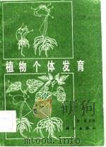 植物个体发育（1984 PDF版）