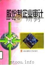 股份制企业审计（1998 PDF版）