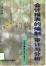 会计表报的编制、审计与分析（1997 PDF版）