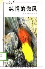 纯情的微风（1989 PDF版）