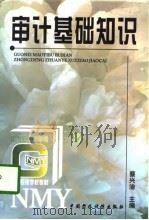 审计基础知识（1997 PDF版）