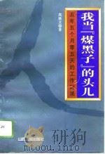 我当“煤黑子”的头儿  五年五个月零五天的工作记录（1996 PDF版）
