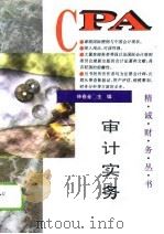 审计实务（1996 PDF版）
