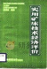 实用矿床技术经济评价（1988 PDF版）
