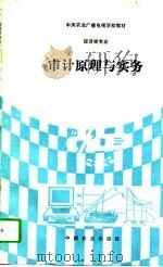 审计原理与实务（1994 PDF版）