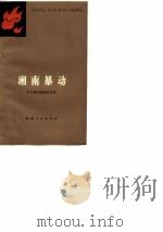 湘南暴动（1979 PDF版）