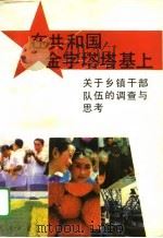 在共和国金字塔塔基上  关于乡镇干部队伍的调查与思考（1993 PDF版）