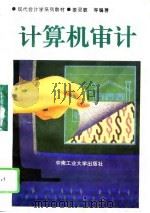 计算机审计（1995 PDF版）