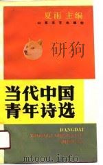 当代中国青年诗选（1991 PDF版）