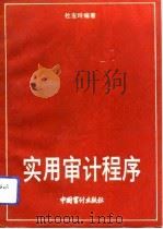 实用审计程序（1992 PDF版）