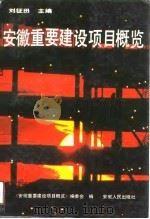 安徽重要建设项目概览（1991 PDF版）