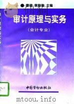 审计原理与实务（1996 PDF版）