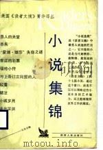 小说集锦（1989 PDF版）