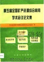 第五届全国矿产资源综合利用学术会议论文集（1996 PDF版）