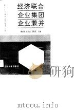 经济联合企业集团企业兼并（1990 PDF版）