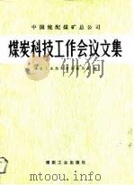 中国统配煤矿总公司煤炭科技工作会议文集（1990 PDF版）