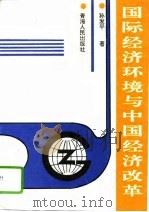 国际经济环境与中国经济改革（1995 PDF版）