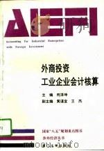 外商投资工业企业会计核算 1993 PDF电子版封面 7561508387 何泽坤主编
