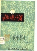 燃烧的泪 成都人民1976年悼念周总理街头诗词选 1979 PDF电子版封面 10118·253 成都市文化局编