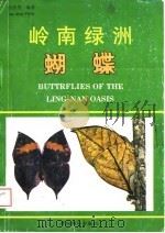岭南绿洲蝴蝶（1988 PDF版）