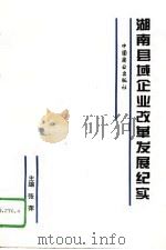 湖南县域企业改革发展纪实（1996 PDF版）