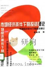 市场经济条件下的投资理论  范畴、规律和管理（1996 PDF版）