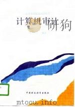 高等财经院校试用教材  计算机审计（1991 PDF版）