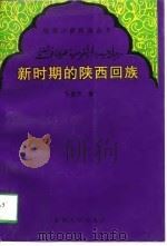 新时期的陕西回族  团结  进步  发展（1997 PDF版）