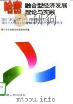 哈密融合型经济发展理论与实践（1997 PDF版）