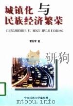 城镇化与民族经济繁荣（1998 PDF版）